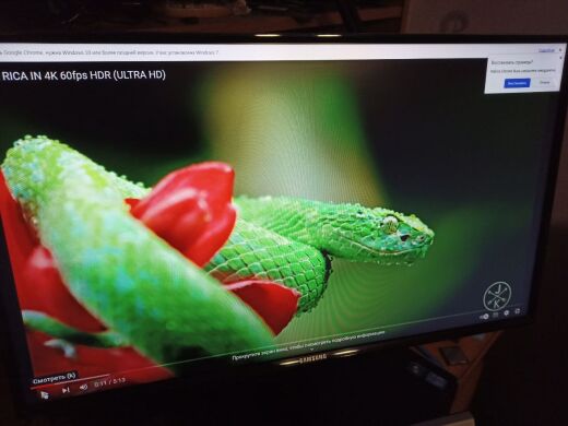 Монитор Б-класс Samsung S24D590PL / 24" (1920x1080) IPS / 2x HDMI, 1x VGA