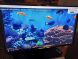 Монитор Б-класс Samsung S24D590PL / 24" (1920x1080) IPS / 2x HDMI, 1x VGA купить