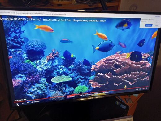 Монитор Б-класс Samsung S24D590PL / 24" (1920x1080) IPS / 2x HDMI, 1x VGA