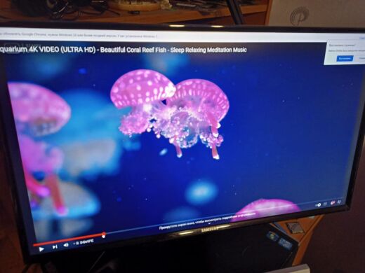 Монитор Б-класс Samsung S24D590PL / 24" (1920x1080) IPS / 2x HDMI, 1x VGA