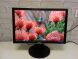 Dell 2007WFP / 20" (1600х1050) IPS CCFL / DVI-D, VGA, RCA, S-Video, USB купить