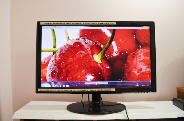 Монитор Terra 2310W / 23" (1920x1080) TN+Film LED / VGA, DVI / встроенные динамики Монитор Terra 2310W / 23" (1920x1080) TN+Film LED / VGA, DVI / встроенные динамики