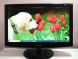Монитор Б-класс Samsung SyncMaster 2033SN / 20" (1600x900) TN+film / VGA купить