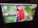 Монітор Б-клас Samsung SyncMaster E2220N / 22" (1920x1080) TN / VGA / VESA 75x75 купити