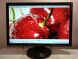 Монитор Б-класс Asus VW225N / 22" (1680x1050) TN / DVI, VGA / VESA 100x100 купить