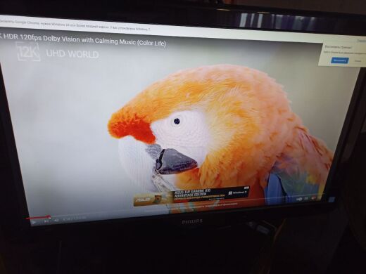 Монітор Б-клас Philips E-Line 247E3LP / 24" (1920x1080) TN / 2x HDMI, 1x VGA