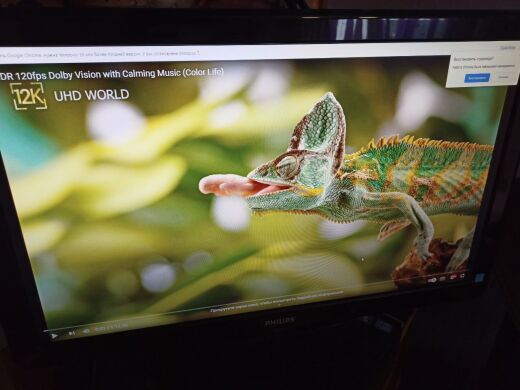 Монітор Б-клас Philips E-Line 247E3LP / 24" (1920x1080) TN / 2x HDMI, 1x VGA