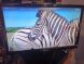 Монітор Philips V-line 236V4L / 23" (1920x1080) TN / VGA, DVI  купити