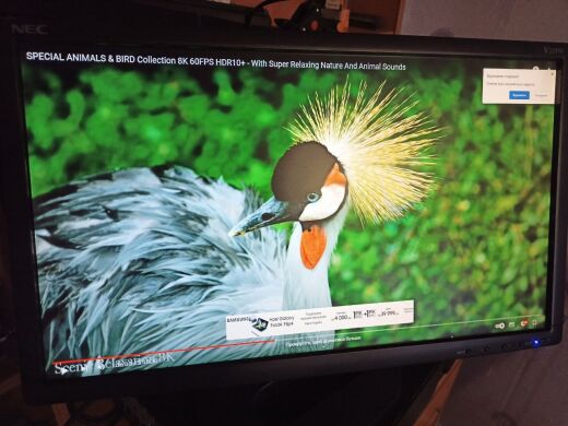 Монитор Б-класс NEC V221W / 21.6" (1920x1080) TN / VGA Монитор Б-класс NEC V221W / 21.6" (1920x1080) TN / VGA