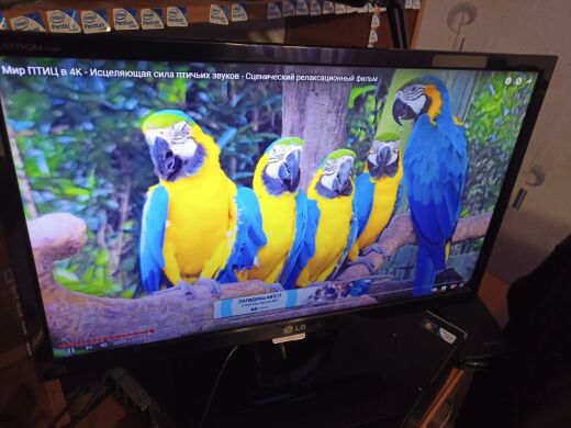 Монитор LG E60 E2260S-PN / 21.5" (1920x1080) TN / VGA Монитор LG E60 E2260S-PN / 21.5" (1920x1080) TN / VGA
