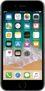 iPhone 6s / 16GB / gray / гарантия 1 мес.