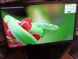 Монитор Acer V226HQLAB / 21.5" (1920x1080) TN / VGA / VESA 100x100  купить