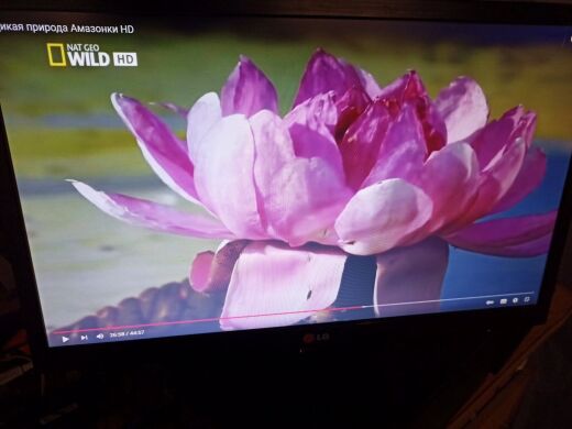 Монитор Б-клас LG 22EN33S-B / 21.5" (1920x1080) TN+film / VGA 