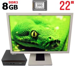 Комплект ПК: Fujitsu Esprimo Q920 USFF / Intel Pentium G3220 (2 ядра по 3.0 GHz) / 8 GB DDR3 / 120 GB SSD / Intel HD Graphics + Монитор Fujitsu Scenicview P22W-5 ECO / 22" (1680x1050) TN / HDMI, DVI, VGA, Audio + мышь и клавиатура NEW и кабели