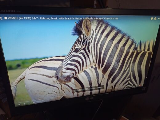 Монітор Б-клас LG Flatron E2241S-BN / 21.5" (1920x1080) TN / VGA / VESA 75x75 