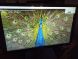 Монитор Dell SE2216H / 22" (1920x1080) IPS / 1x HDMI, 1x VGA купить