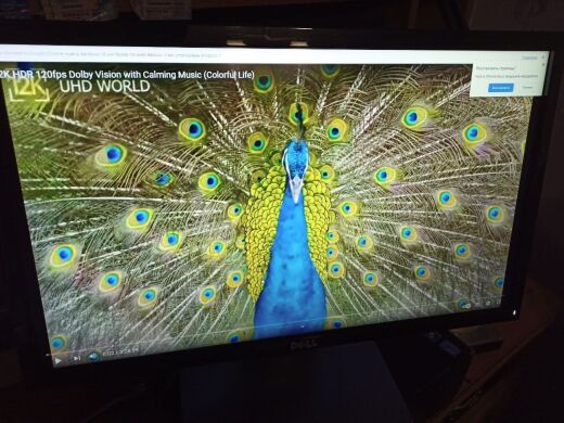 Монитор Dell SE2216H / 22" (1920x1080) IPS / 1x HDMI, 1x VGA