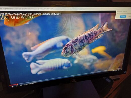Монитор Dell SE2216H / 22" (1920x1080) IPS / 1x HDMI, 1x VGA