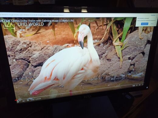 Монитор Dell SE2216H / 22" (1920x1080) IPS / 1x HDMI, 1x VGA