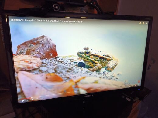 Монитор Samsung S24D300H / 24" (1920x1080) TN / VGA, HDMI  