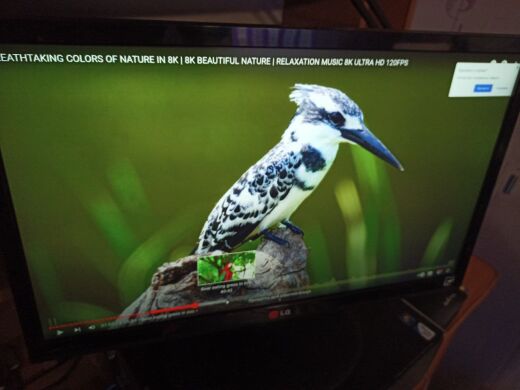 Монитор Б-класс LG 22EA53 / 21.5'' (1920x1080) AH-IPS / VGA, DVI Монитор Б-класс LG 22EA53 / 21.5'' (1920x1080) AH-IPS / VGA, DVI