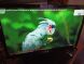 Монитор Б-класс LG 22EA53 / 21.5'' (1920x1080) AH-IPS / VGA, DVI купить