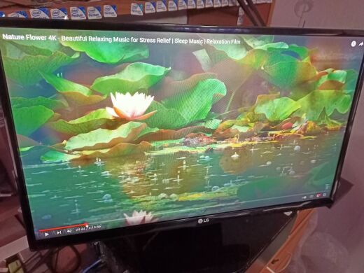 Монітор LG 24MP400-B / 23.8" (1920x1080) IPS / VGA, HDMI / VESA 75x75 