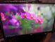 Монітор LG 24MP400-B / 23.8" (1920x1080) IPS / VGA, HDMI / VESA 75x75  купити