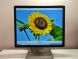 Монитор Dell P1914S / 19" (1280x1024) IPS / DVI, VGA, DisplayPort, USB / VESA 100x100 купить