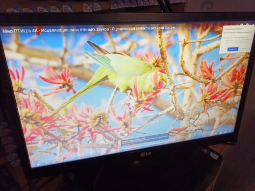 Монитор LG 22M35A-B / 21.5" (1920x1080) TN+film / VGA / VESA 75x75 