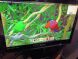 Монитор ViewSonic VX2253mh-LED / 22" (1920x1080) TN+Film / HDMI, VGA, Audio / Встроенные колонки 2x 2W купить