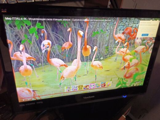 Монитор ViewSonic VX2253mh-LED / 22" (1920x1080) TN+Film / HDMI, VGA, Audio / Встроенные колонки 2x 2W Монитор ViewSonic VX2253mh-LED / 22" (1920x1080) TN+Film / HDMI, VGA, Audio / Встроенные колонки 2x 2W