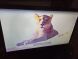 Монітор  LG 20M37A-B / 20" (1600x900) TN / VGA  купити