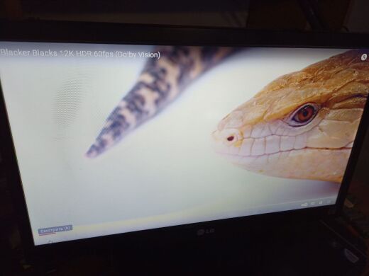 Монітор  LG 20M37A-B / 20" (1600x900) TN / VGA 