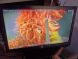 Монитор Б-класс HP ProDisplay P201 / 20" (1600x900) TN / VGA, DVI  купить