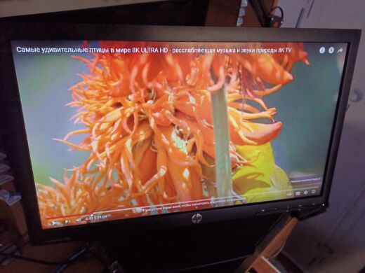 Монитор Б-класс HP ProDisplay P201 / 20" (1600x900) TN / VGA, DVI Монитор Б-класс HP ProDisplay P201 / 20" (1600x900) TN / VGA, DVI