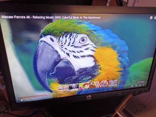 Монитор Б-класс HP ProDisplay P201 / 20" (1600x900) TN / VGA, DVI Монитор Б-класс HP ProDisplay P201 / 20" (1600x900) TN / VGA, DVI