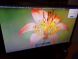Монитор Б-класс LG E2242C-BN / 21.5" (1920x1080) TN+film / VGA / VESA 75x75  купить