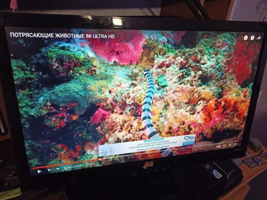 Монитор Б-класс HP S2031 / 20" (1600x900) TN / 1x DVI, 1x VGA Монитор Б-класс HP S2031 / 20" (1600x900) TN / 1x DVI, 1x VGA