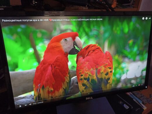 Монітор Б-клас Dell SE2416H Silver-Black / 24" (1920x1080) IPS / 1x HDMI, 1x VGA Монітор Б-клас Dell SE2416H Silver-Black / 24" (1920x1080) IPS / 1x HDMI, 1x VGA