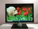 Монитор Dell Professional P1911b / 19" (1440x900) TN / DVI, VGA, USB / VESA 100x100 купить