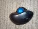 Беспроводная мышь Logitech M570 / оптическая / 5 клавиш / черная купить