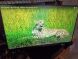 Монитор 2E C2419B (2E-C2419B-01.UA) / 23.8" (1920x1080) ADS / VGA, HDMI  купити