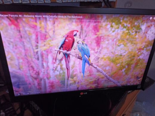 Монитор LG 22EN43S-B / 21.5" (1920x1080) TN / VGA Монитор LG 22EN43S-B / 21.5" (1920x1080) TN / VGA