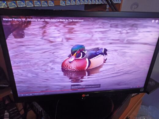 Монитор LG 22EN43S-B / 21.5" (1920x1080) TN / VGA Монитор LG 22EN43S-B / 21.5" (1920x1080) TN / VGA