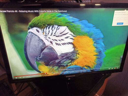 Монитор Б-класс Samsung S24D330H / 24" (1920x1080) TN / VGA, HDMI Монитор Б-класс Samsung S24D330H / 24" (1920x1080) TN / VGA, HDMI
