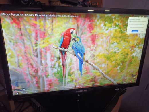 Монитор Б-класс Samsung S24D330H / 24" (1920x1080) TN / VGA, HDMI Монитор Б-класс Samsung S24D330H / 24" (1920x1080) TN / VGA, HDMI